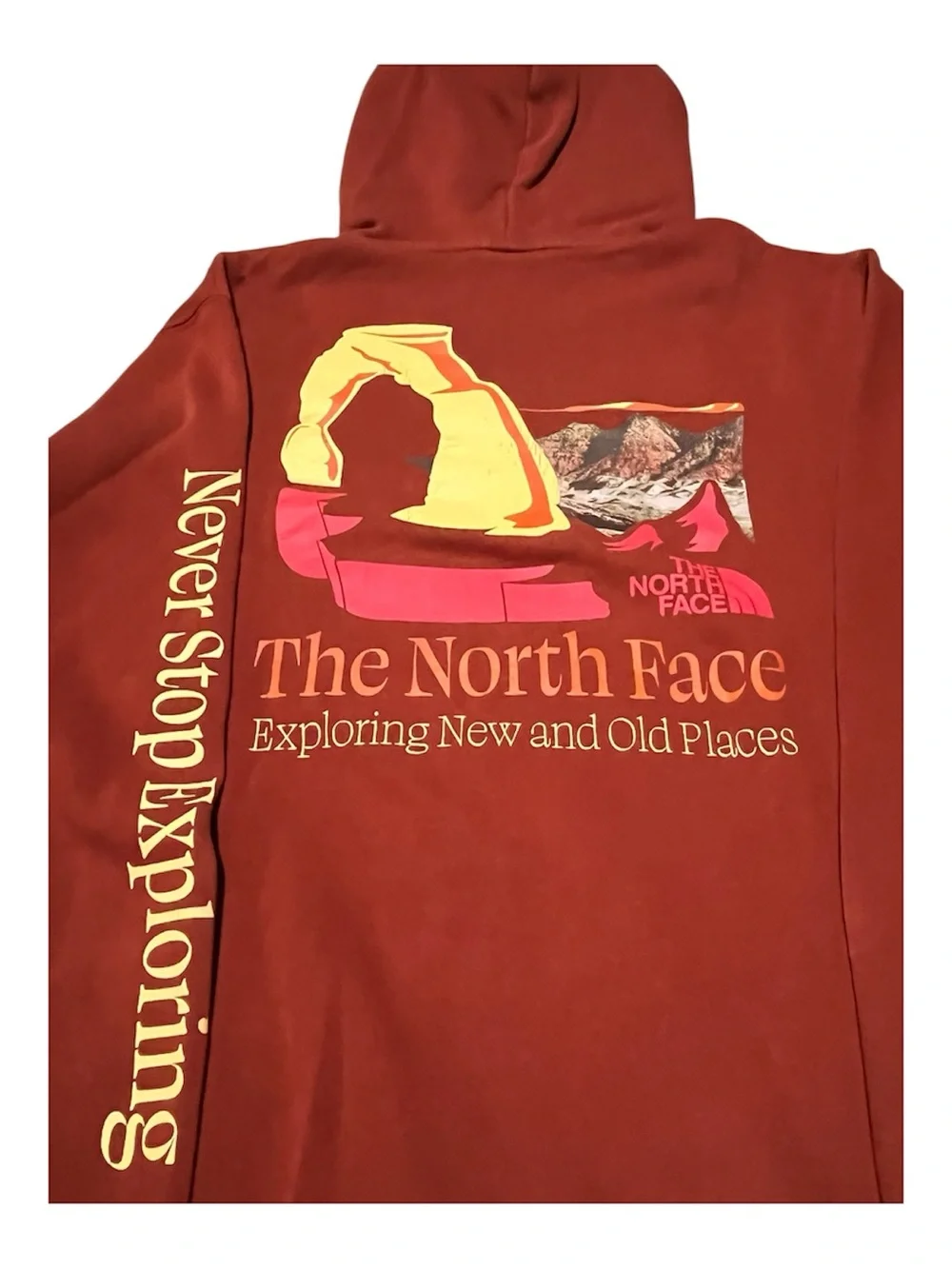 The North Face Men's Burnt Orange Pullover Hoodie